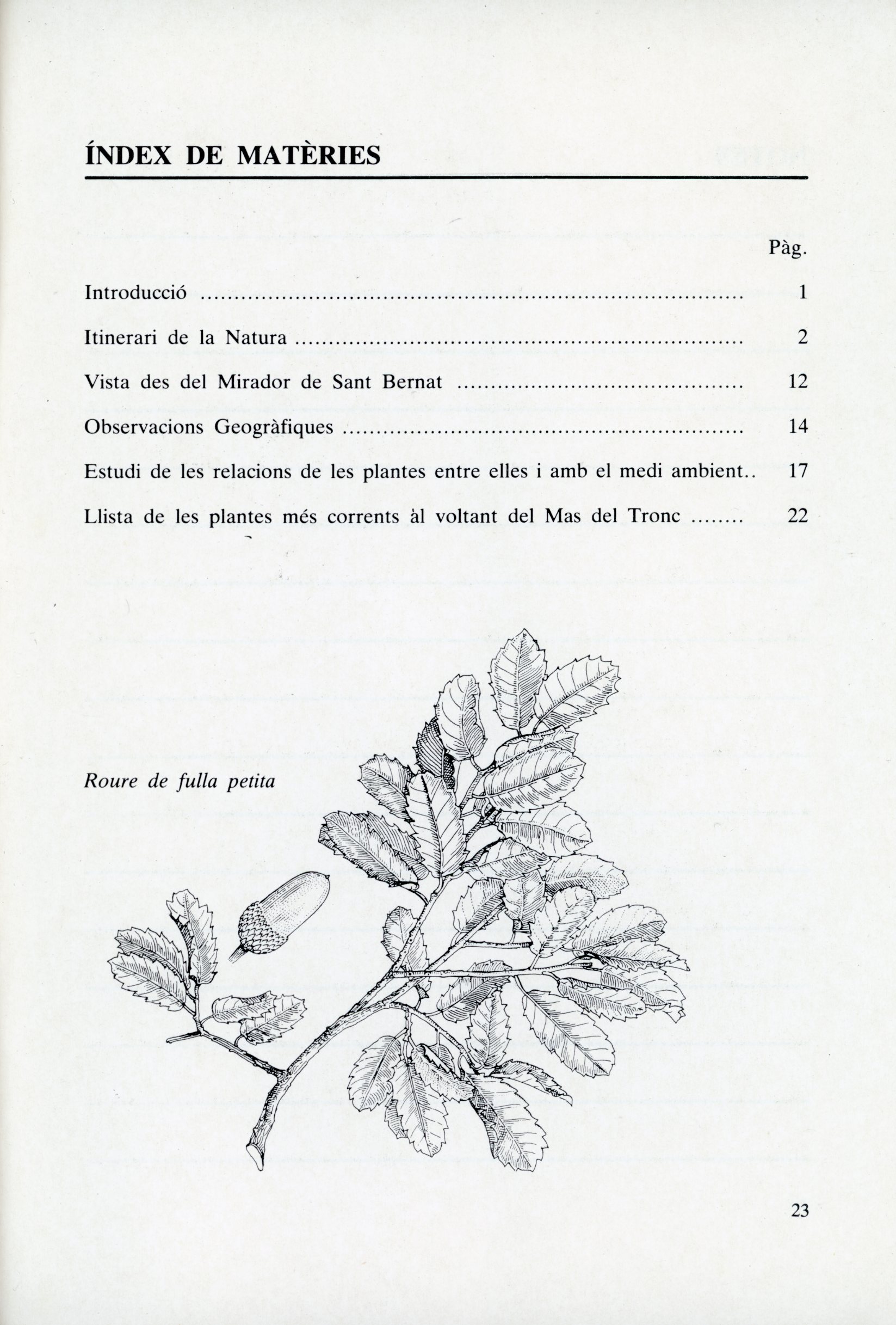 Aula de la natura Mas del Tronc - Miniatura 2